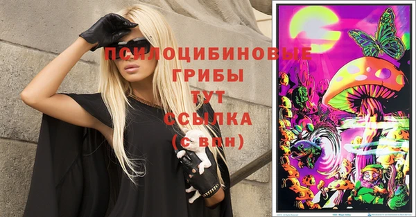 apvp Каменск-Шахтинский