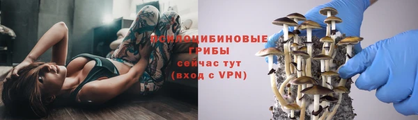 таблы Каменногорск