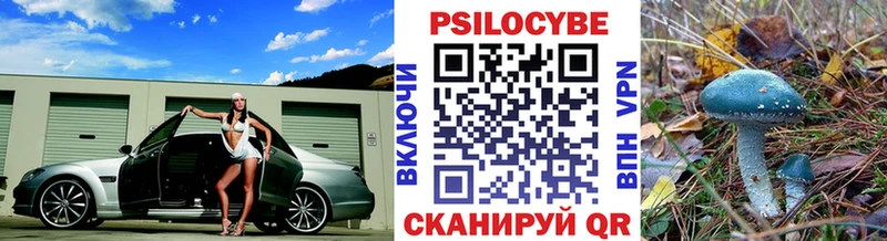 Купить где  Зеленогорск  Галлюциногенные грибы Cubensis 